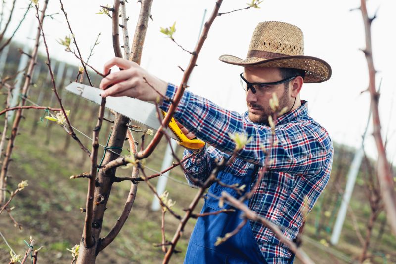 Pruning Equipment in Use
